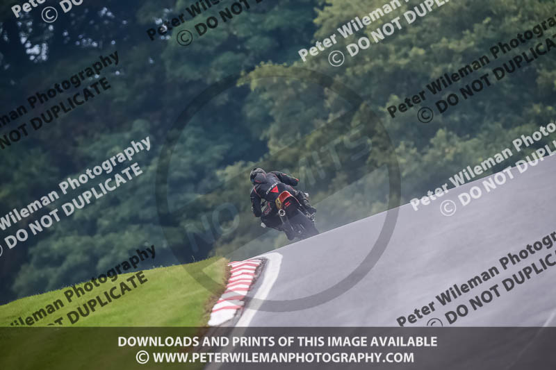 PJ Motorsport Photography 2020;anglesey;brands hatch;cadwell park;croft;donington park;enduro digital images;event digital images;eventdigitalimages;mallory;no limits;oulton park;peter wileman photography;racing digital images;silverstone;snetterton;trackday digital images;trackday photos;vmcc banbury run;welsh 2 day enduro